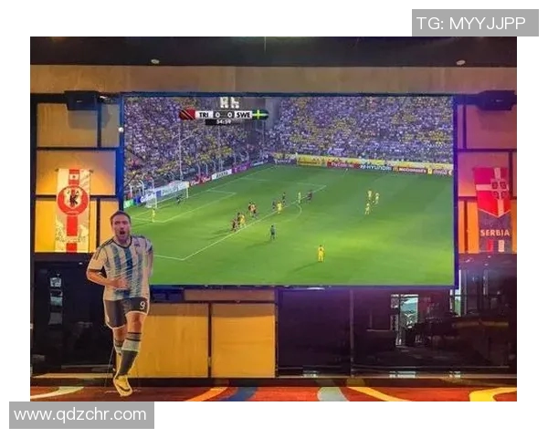 欧洲杯观众热情展现与赛场氛围营造及现场管理经验分享