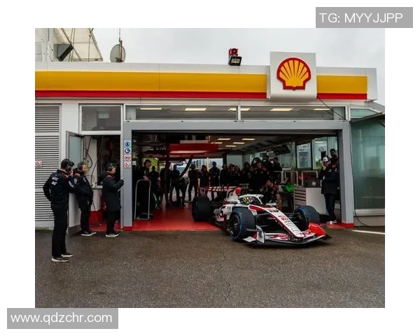 F1赛季中期总结：车队竞争格局变化